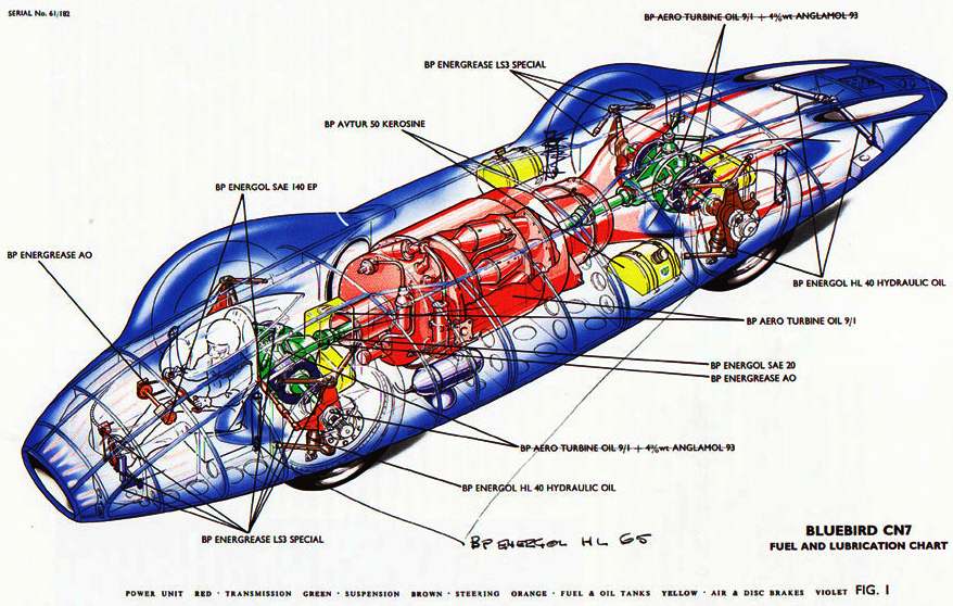Bluebird Electric Vehicles Chart