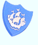 Silver Badge