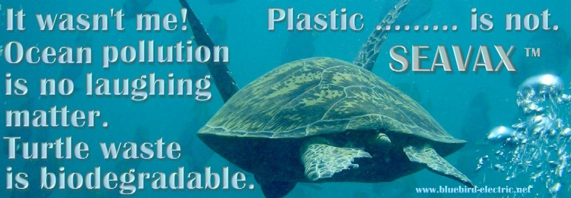 Turtles are at risk from plastic garbage in our oceans