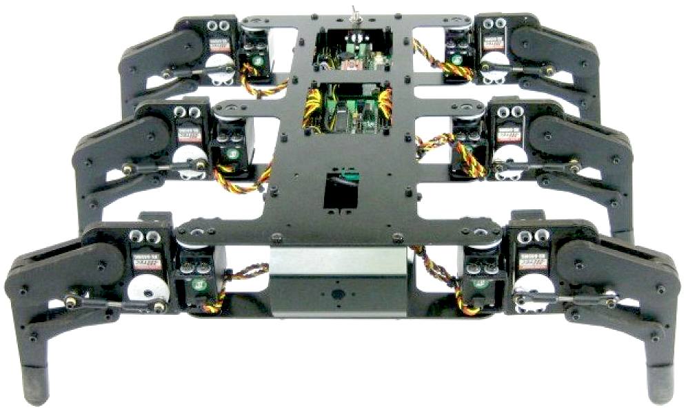 ant robot kit