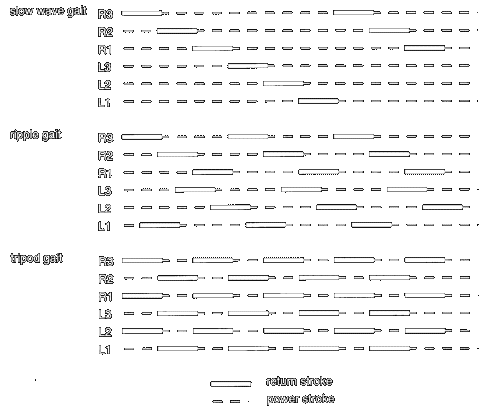 Walking patterns for insects