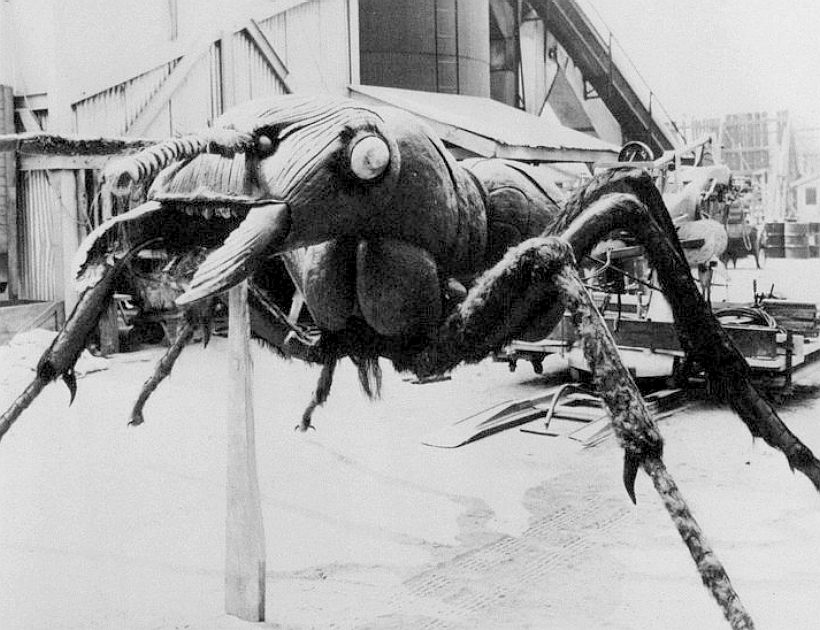 Giant ant prop used in making the 1954 film: Them