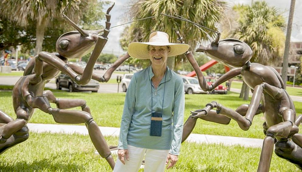 Susan Chochran's giant any sculptures, Florida Museum of Natural History