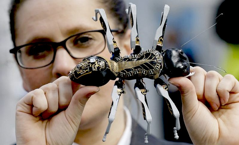A clever ant robot with printed circuits on its exoskelton