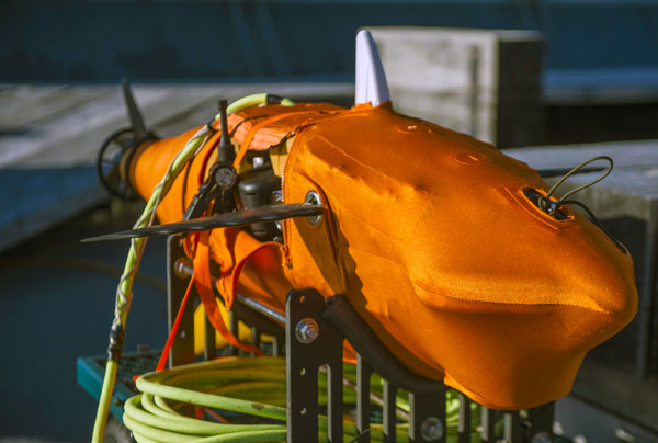 US Navy Ghost shark submarine