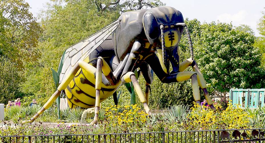 Brookfield Zoo, giant wasp in horticultural gardens