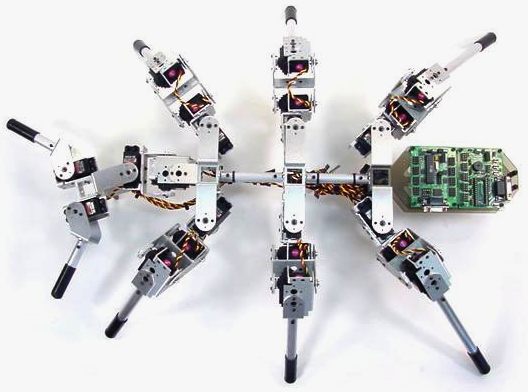 Ant Robotics Bulldog Ponerine Giant Insectronics