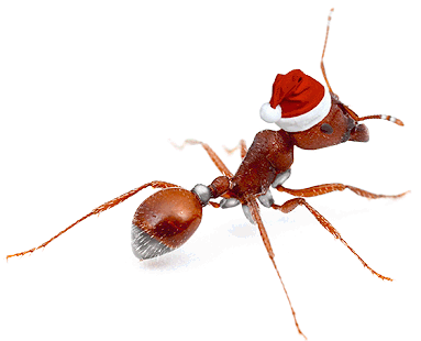 Ant wearing a Christmas hat in the snow