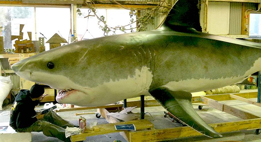 Giant animatronic shark, Sydney Aquarium