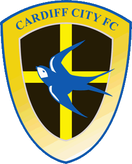 Cardiff City FC on X: A cruel defeat for the #Bluebirds on the