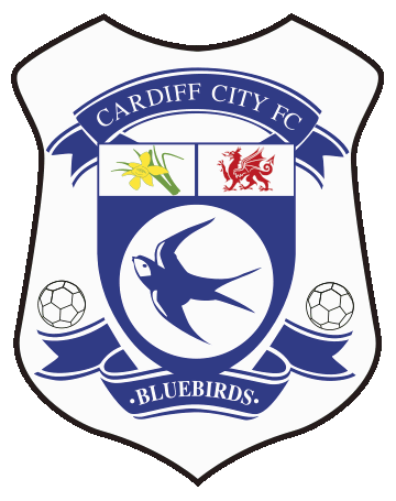 Discovering the Magic of Cardiff City Stadium: Home of the Bluebirds 