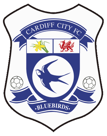 Cardiff City's new crest revealed: Bluebird returns as club unveil new  design for 2015/16 season - Wales Online