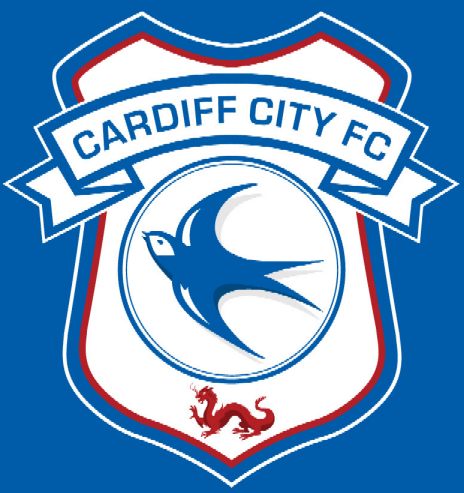 Cardiff City badge: Bluebirds reveal new club crest for 2015-16