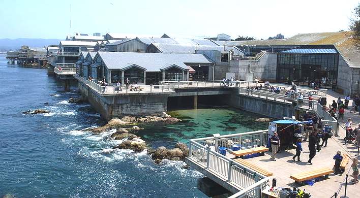 Aquarium at Monteray Bay, USA