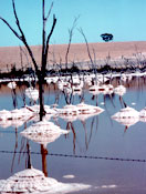 Lake Dumbleyung salt deposits