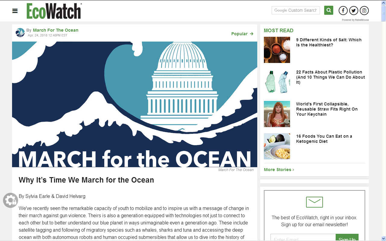 Ecowatch march for the ocean