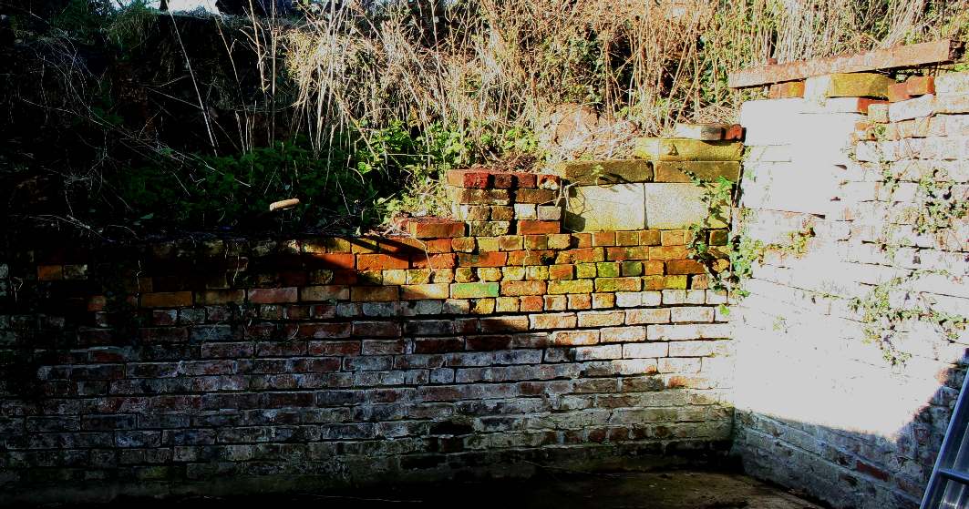 The laboratory west wall is badly damaged from tree roots