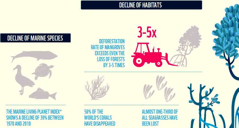 World Wildlife Fund report on loss of animal habitats