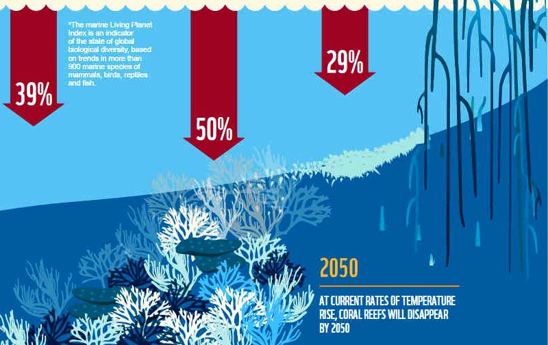 Protecting 30% of the Mediterranean Sea will boost fish stocks and  biodiversity - WWF report