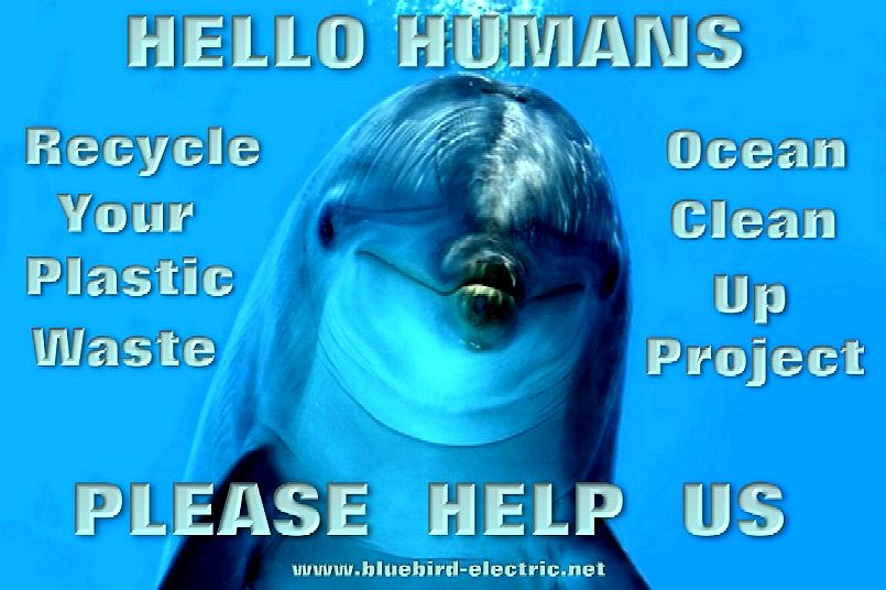 Dolphin asking humans to help keep their ocean clean