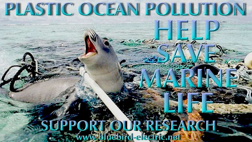 Please help us to clean up the oceans, support our research