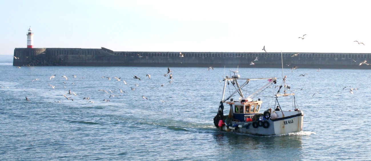 Essential food supplies for hungry coastal towns