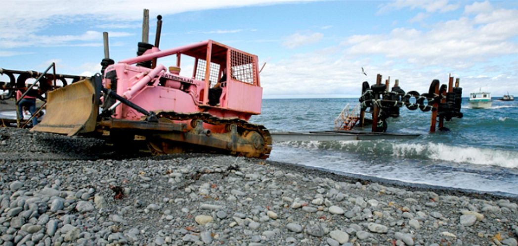 Ngawi, New Zealand, Babe the bulldozer watis with a tralier to recover a fishing boat