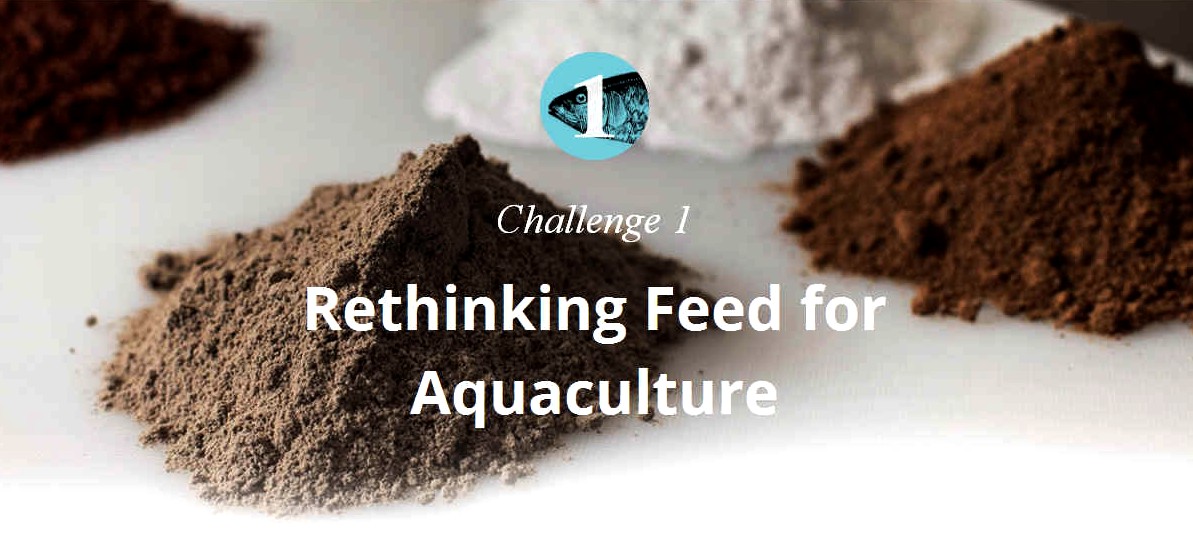 Aquaculture challenge 1 rethinking fish feed