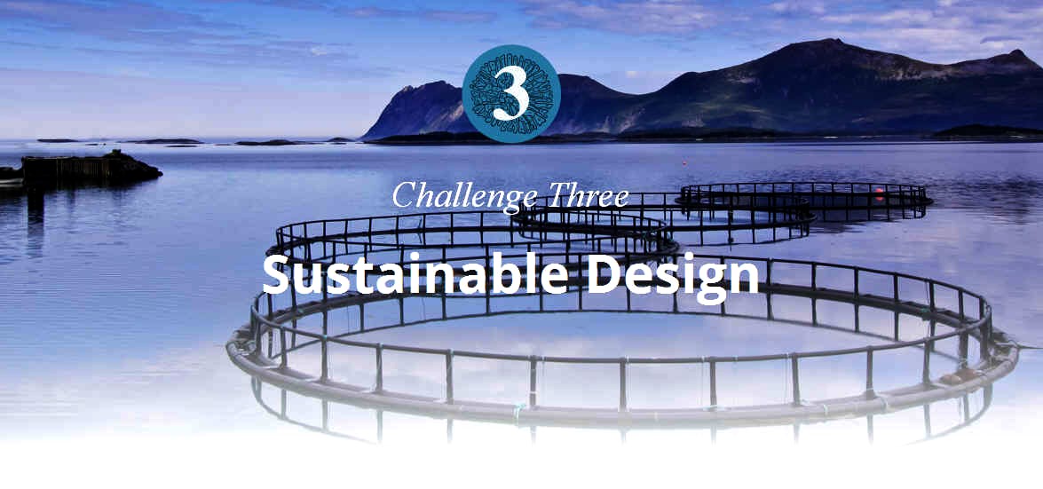 Blue economy challenge 3 sustainable cage design
