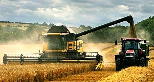 Combine harvester and tractor collecting grain