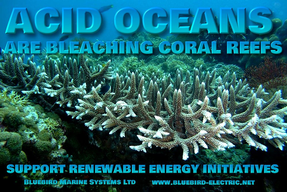 OCEAN ACIDIFICATION CO2 POLLUTION ACID SEAS