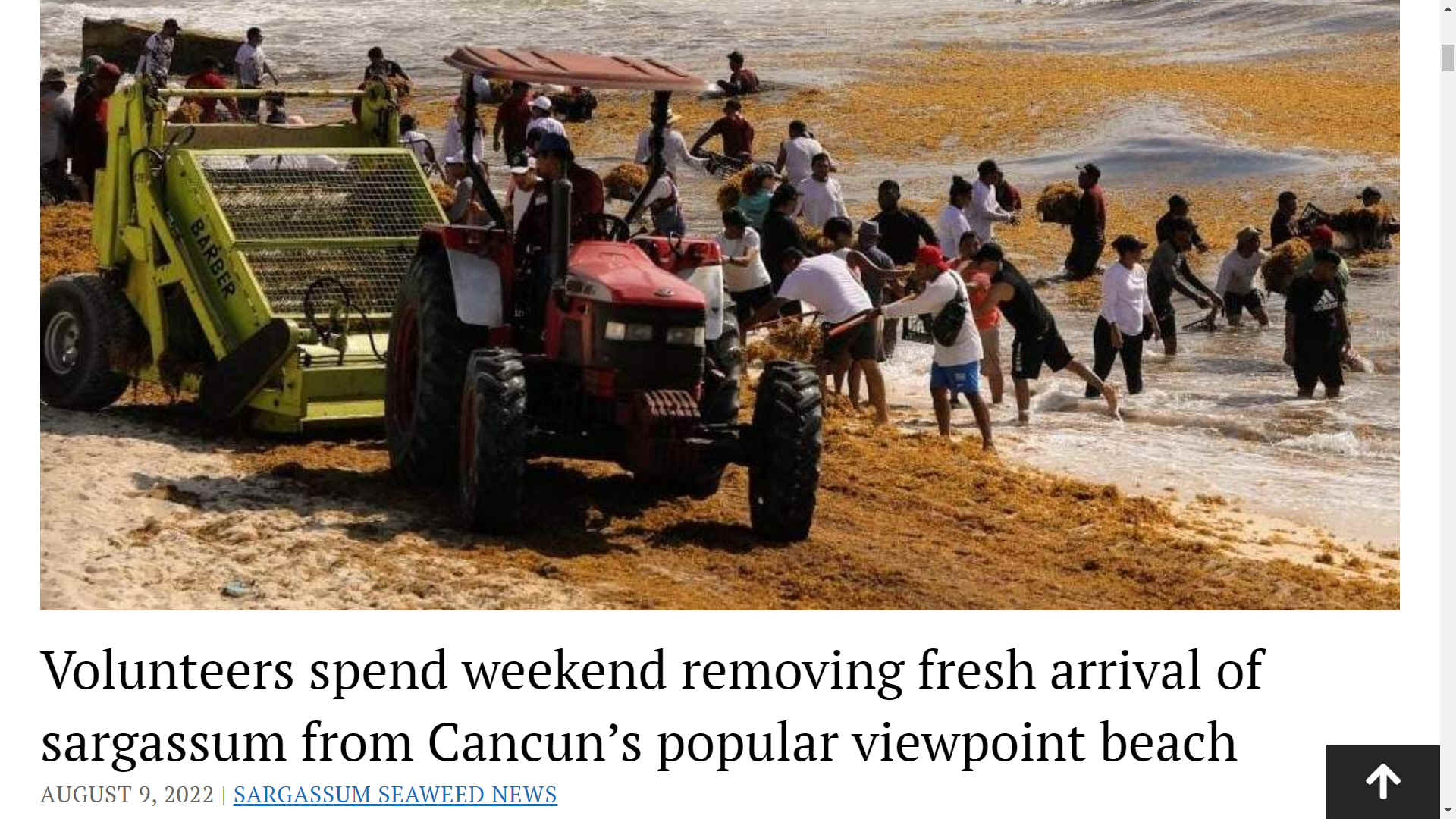 Cleaning the beach at Cancun, Mexican Riviera, Caribbean Sea, sargussum crisis