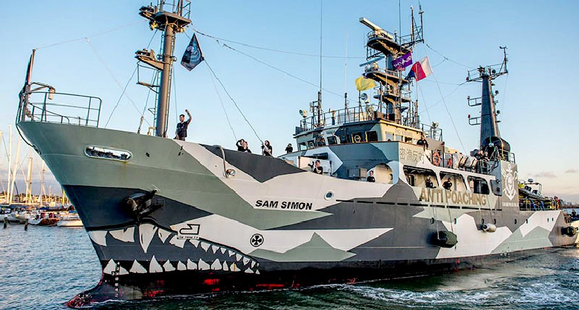 No 'Whale Wars' Here: Sea Shepherd Rescues Crew of Fish Poachers