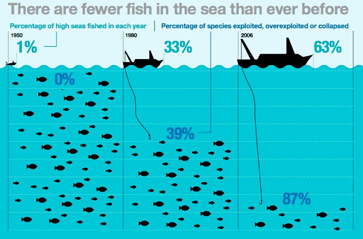 Fishing decline diagram