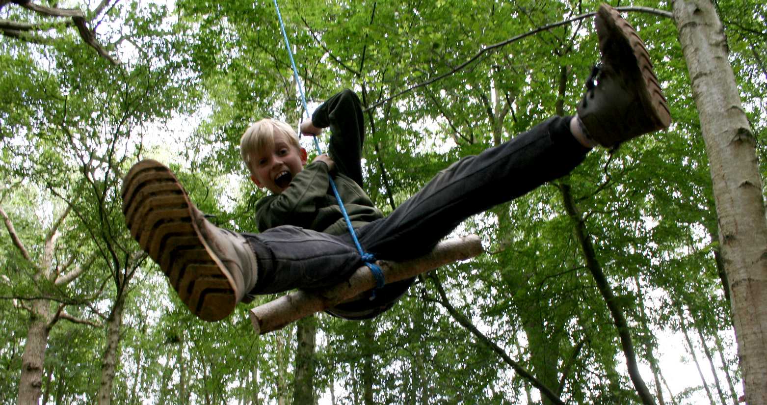 Tarzan, king of the forest in Sussex